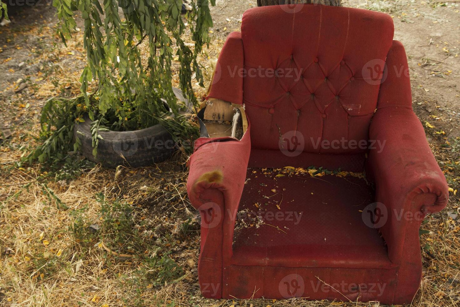 Empty red armchair photo