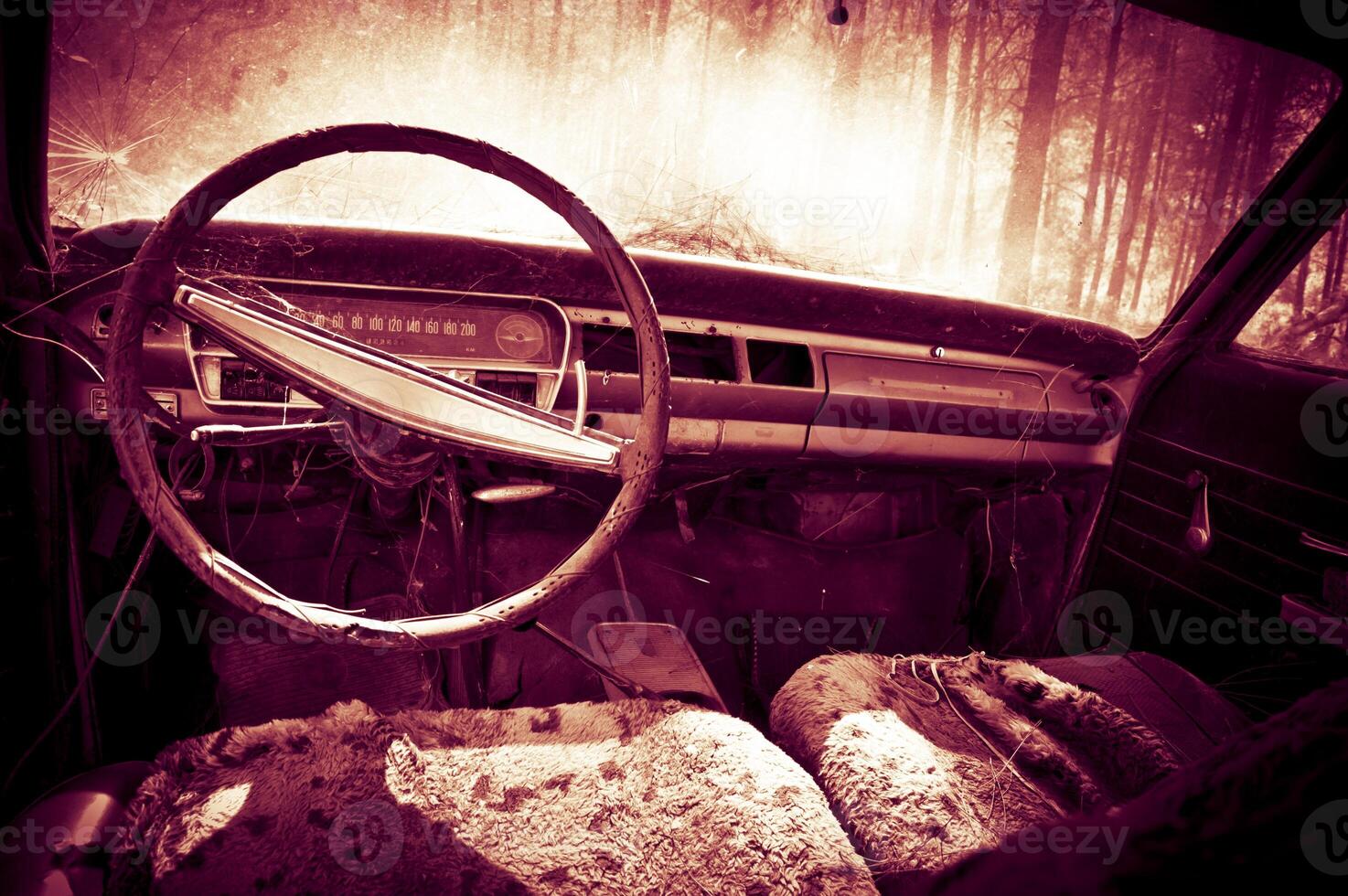 Abandoned Old Car photo