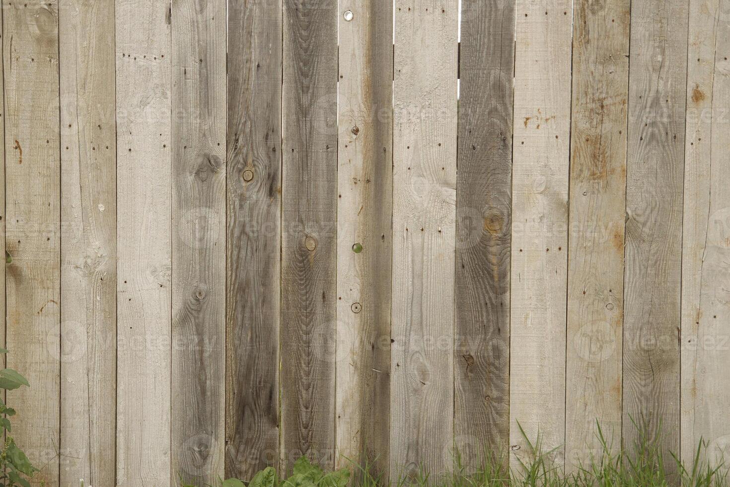 Wood Texture Background photo