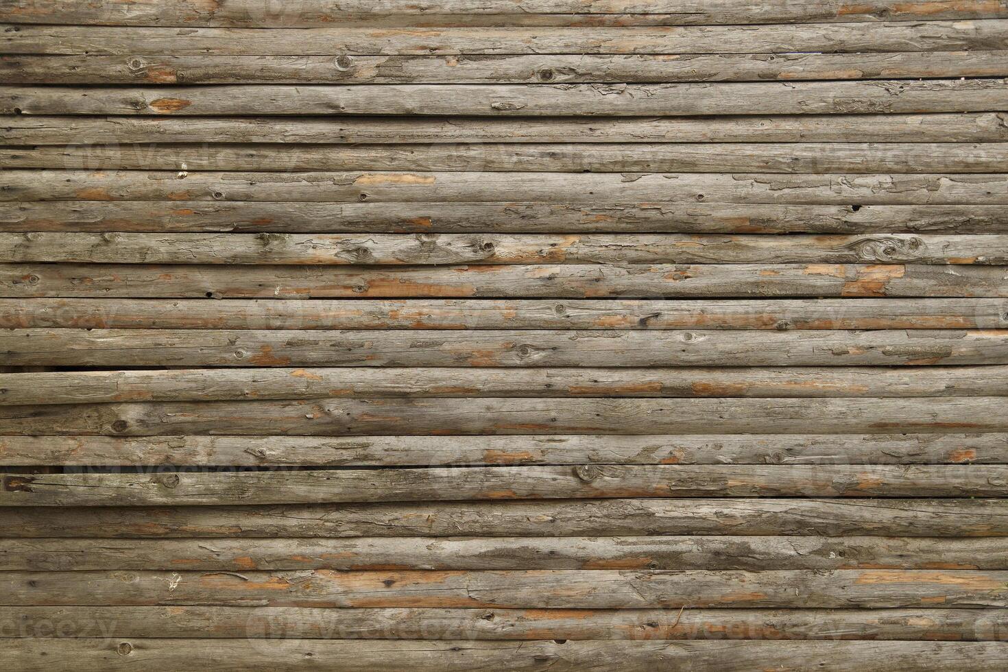 Wood Texture Background photo