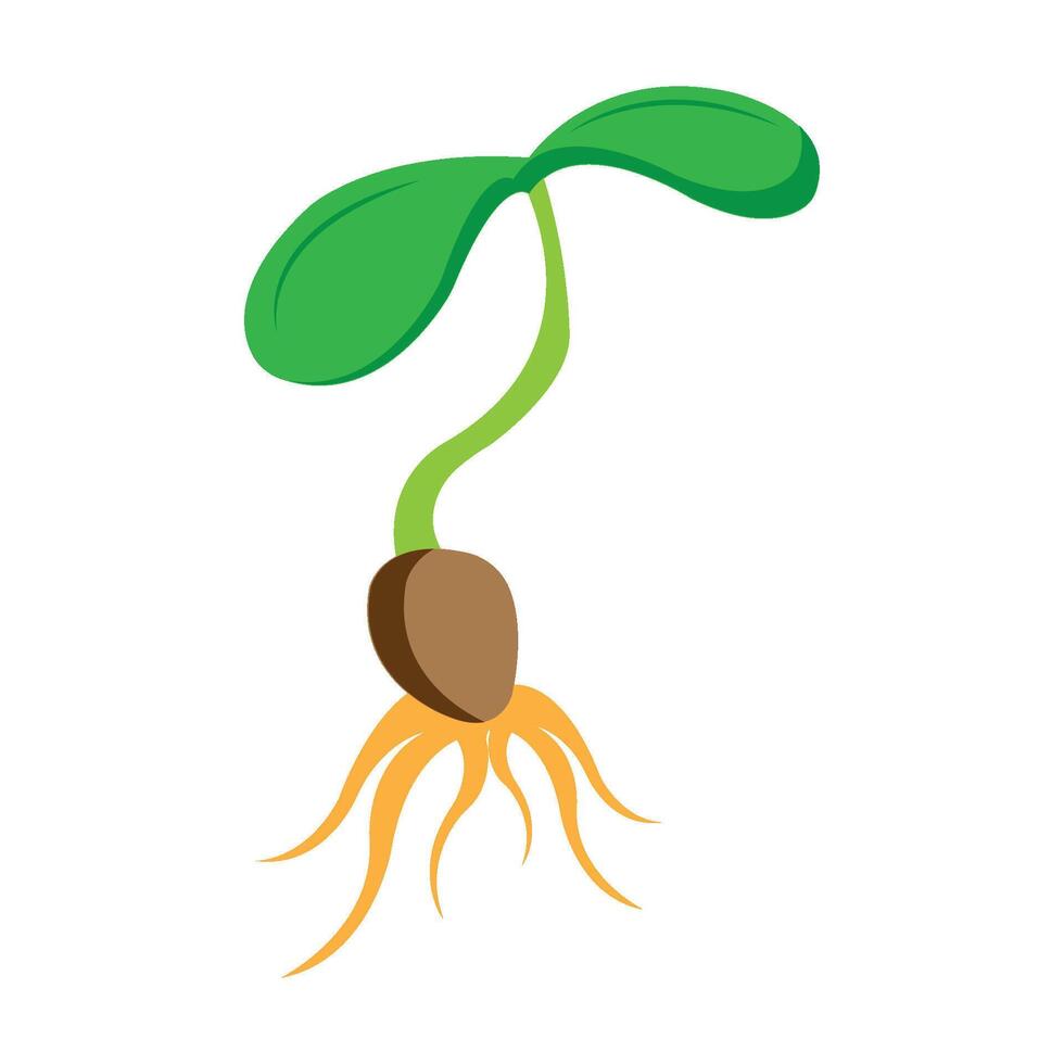 sprouts icon logo vector design template
