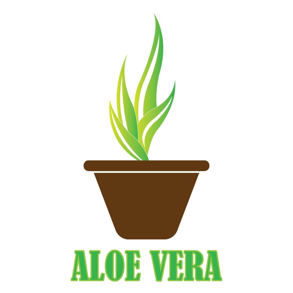 Aloe vera icon logo vector design template