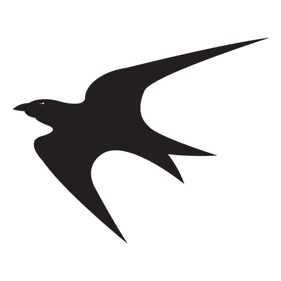 swallow icon logo vector design template