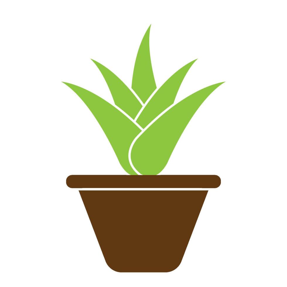 Aloe vera icon logo vector design template