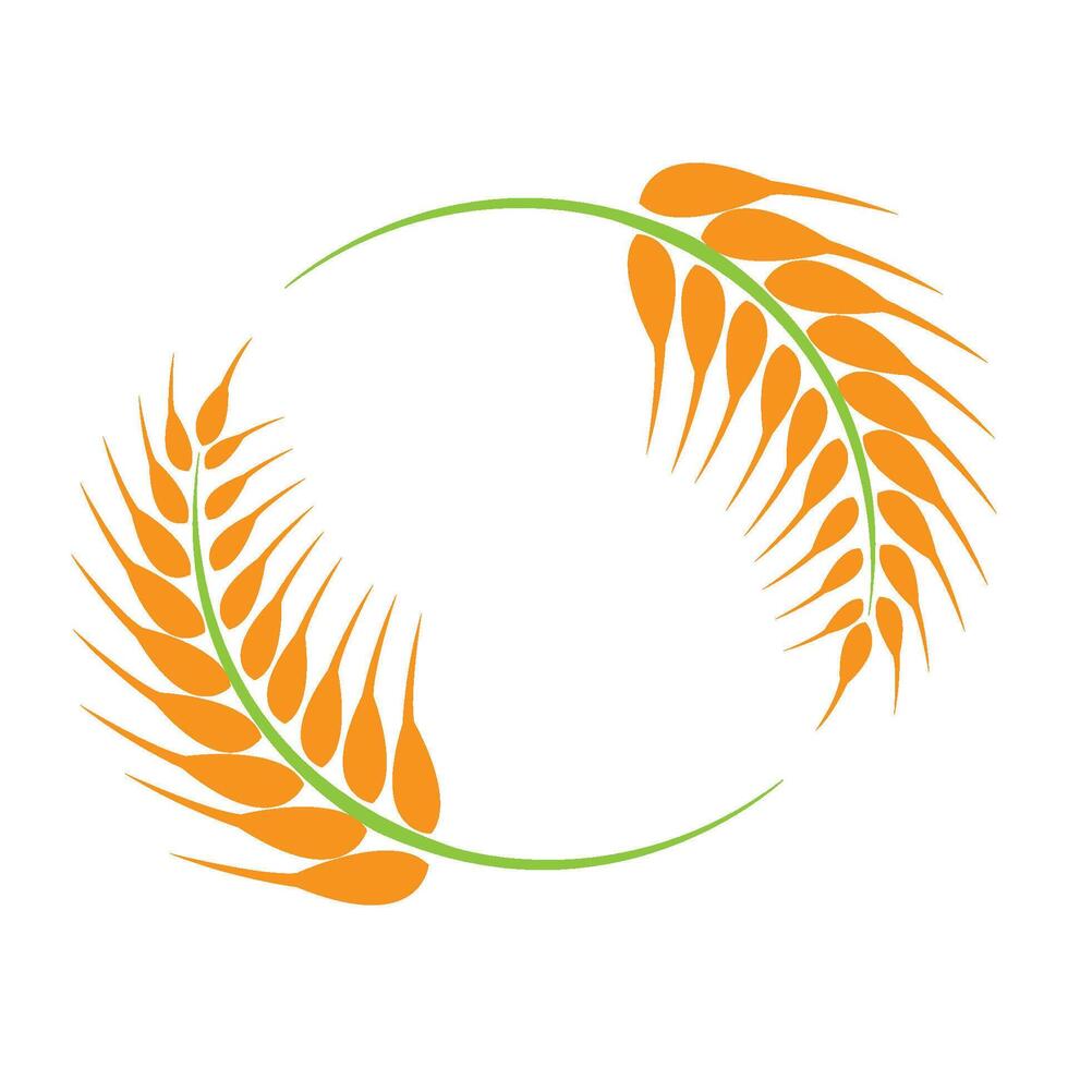 paddy icon logo vector design template
