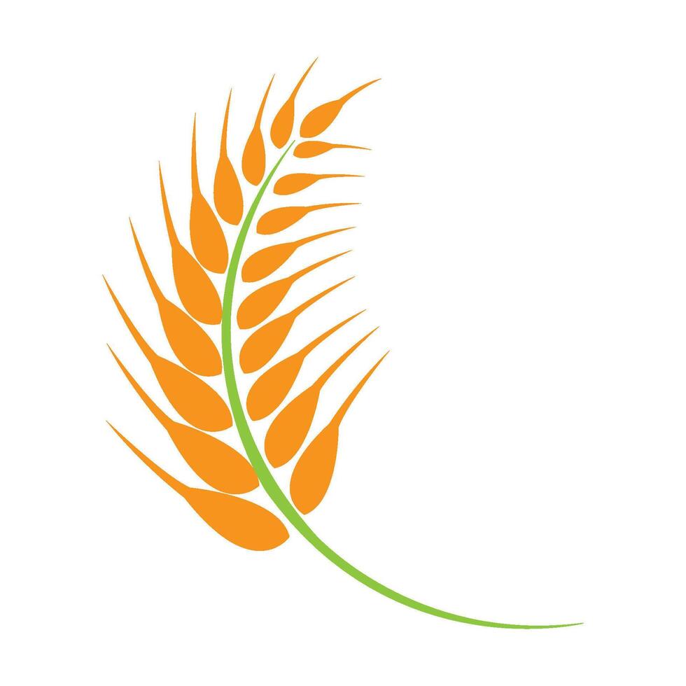 paddy icon logo vector design template