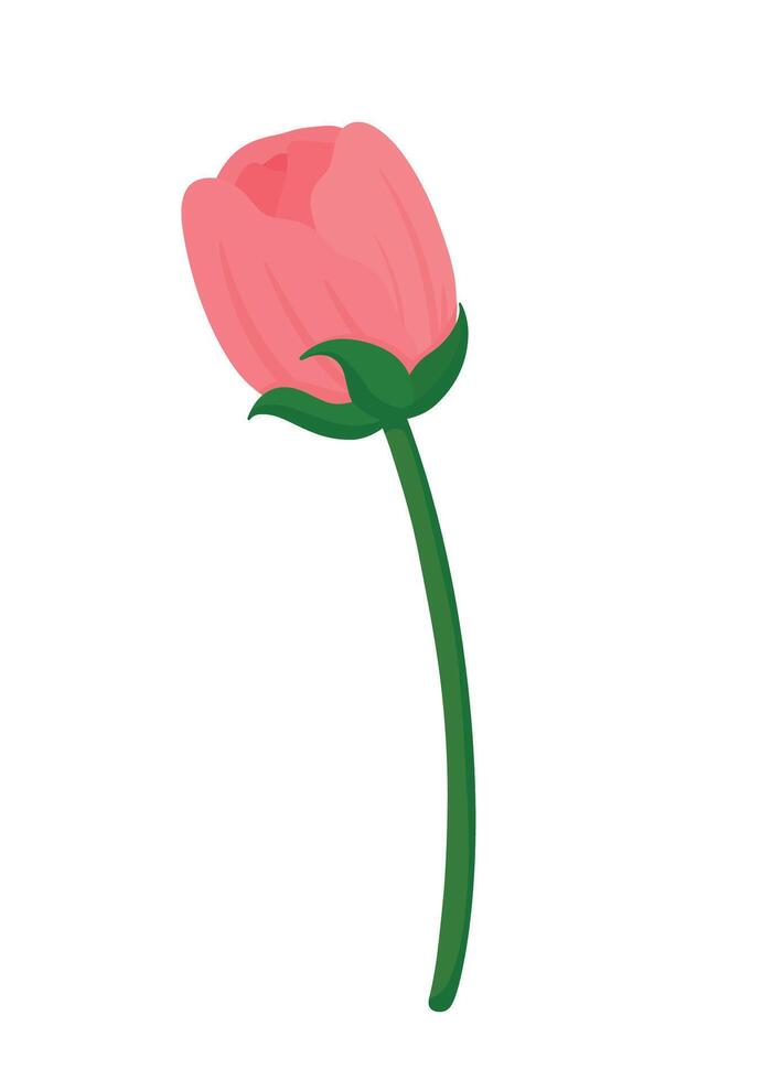 Pink Rose Flower Plant in Flat Vector Illustration