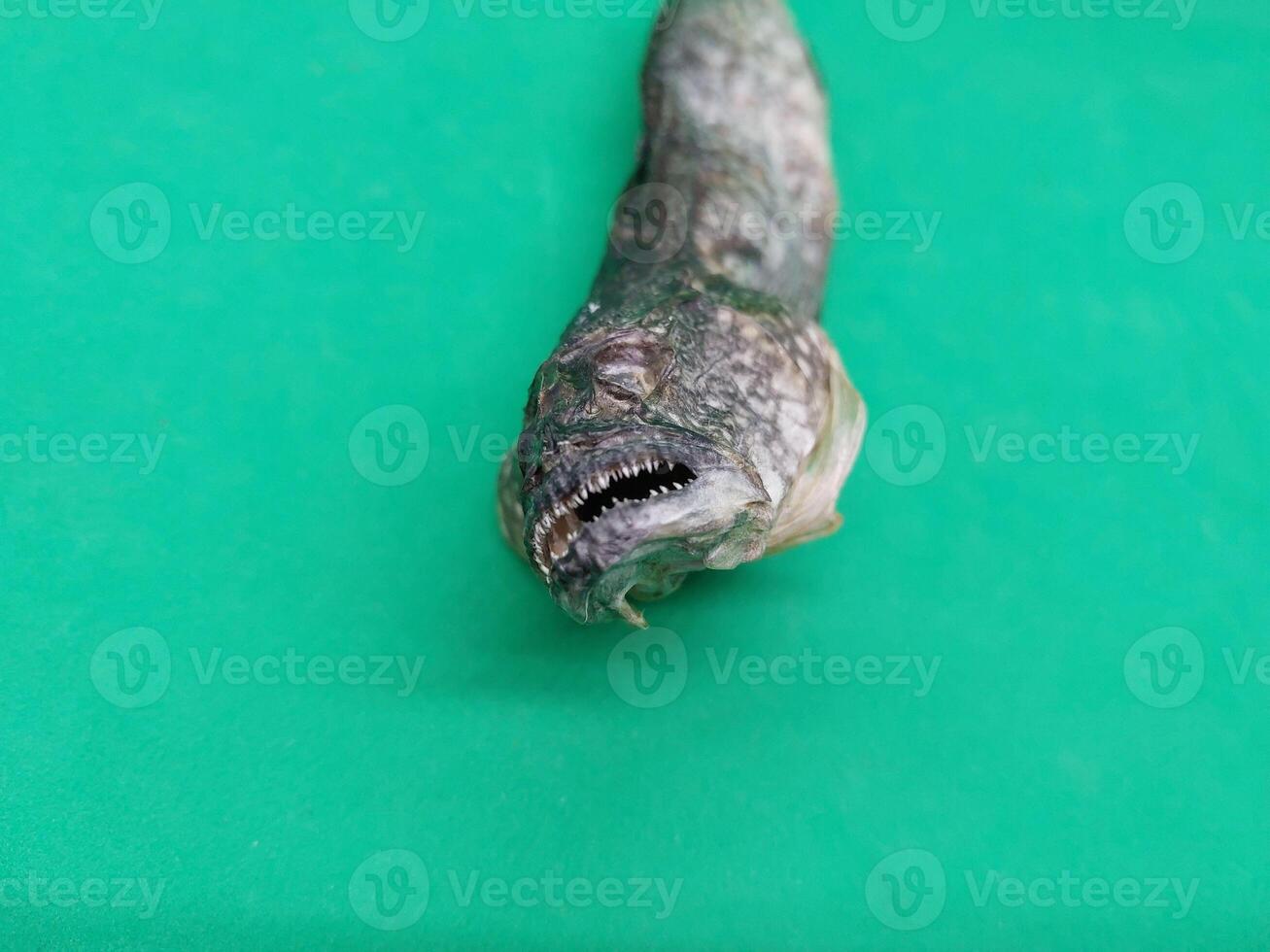 Dried goby fish in a plate photo