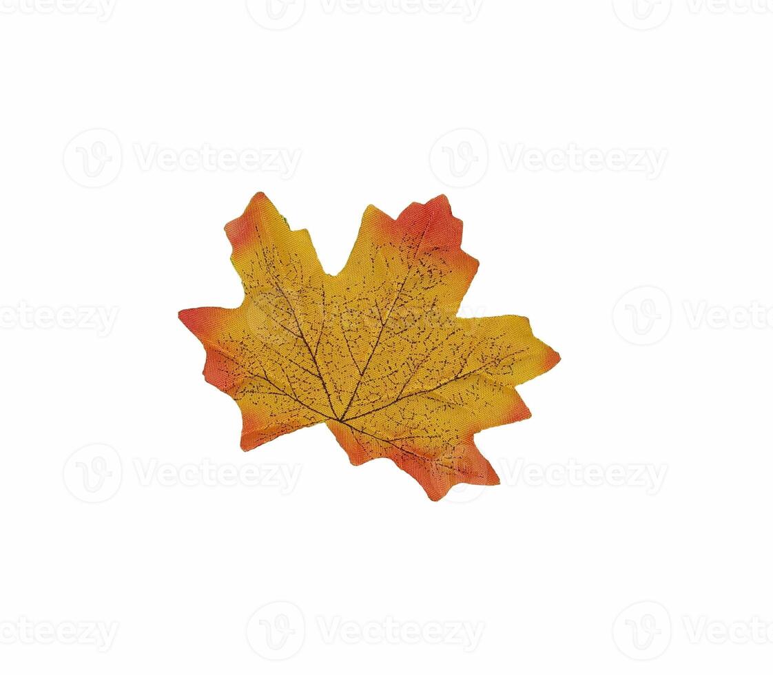 Isolated object for 2d and 3d designers photo
