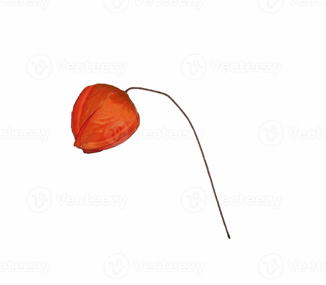 Isolated object for 2d and 3d designers photo