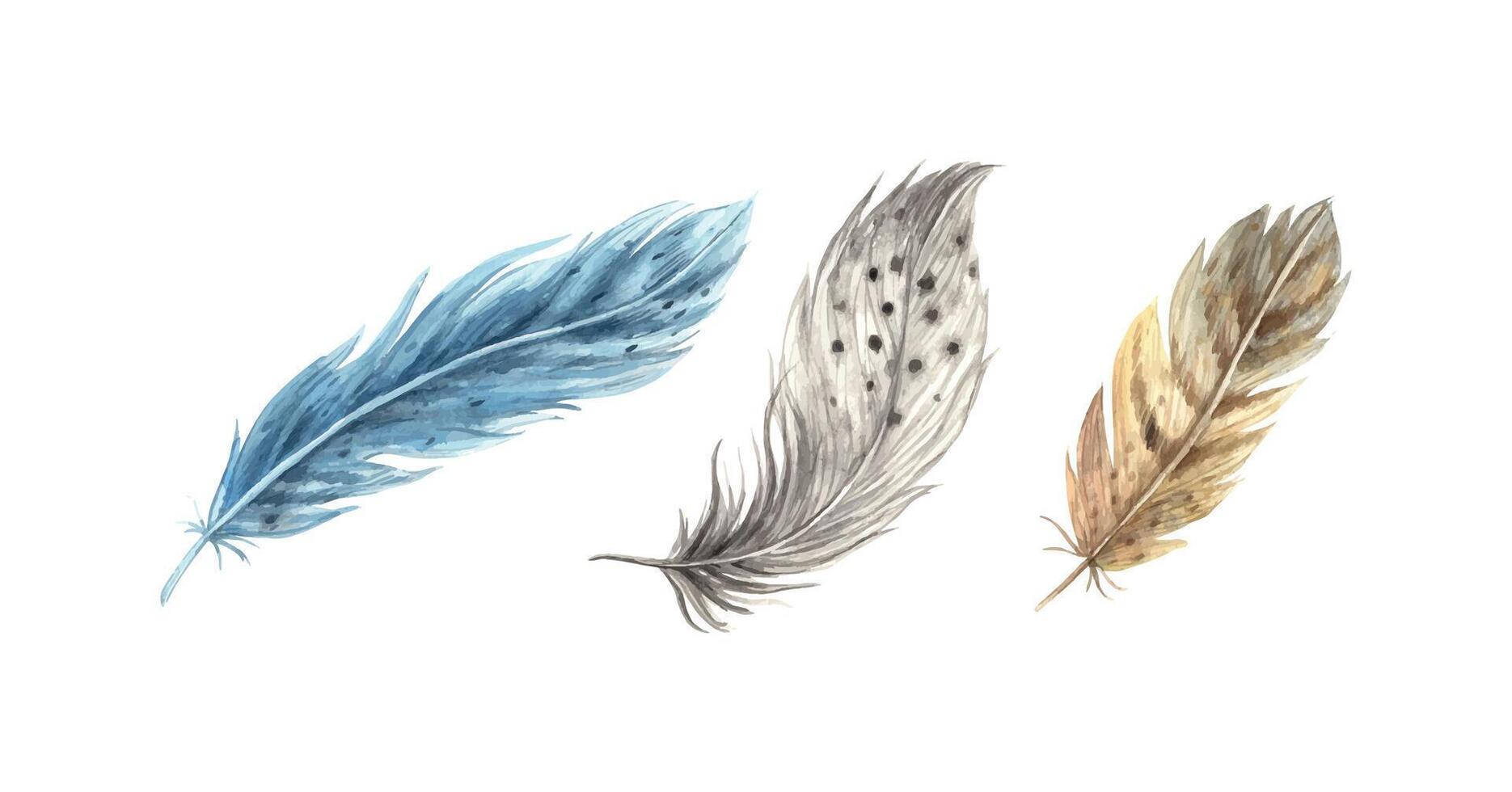 Set of watercolor realistic feathers. Detailed bird feathers in a realistic style. Illustration hand drawn on isolated background for greeting cards, invitations, happy holidays, posters vector