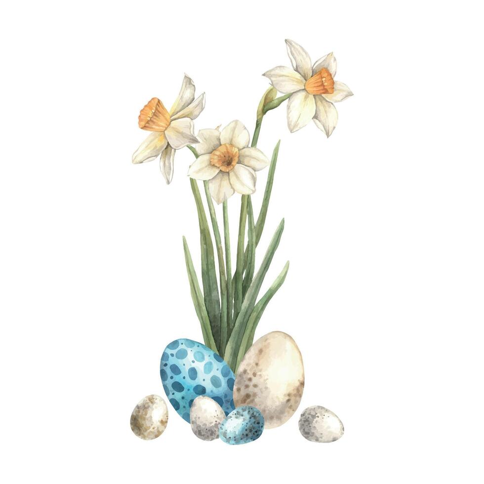 Watercolor Easter composition of daffodils and eggs. Easter holiday illustration hand drawn. Sketch on isolated background for greeting cards, invitations, happy holidays, posters, graphic design vector