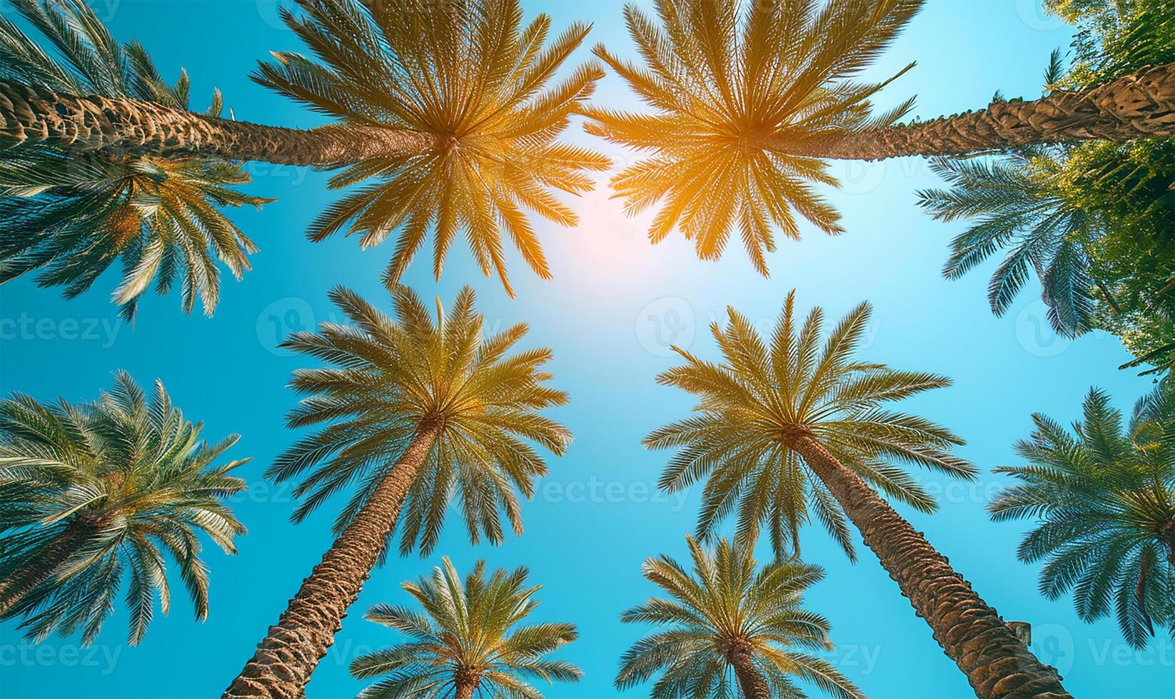 AI generated Majestic Date Palms Reaching to the Blue Sky photo