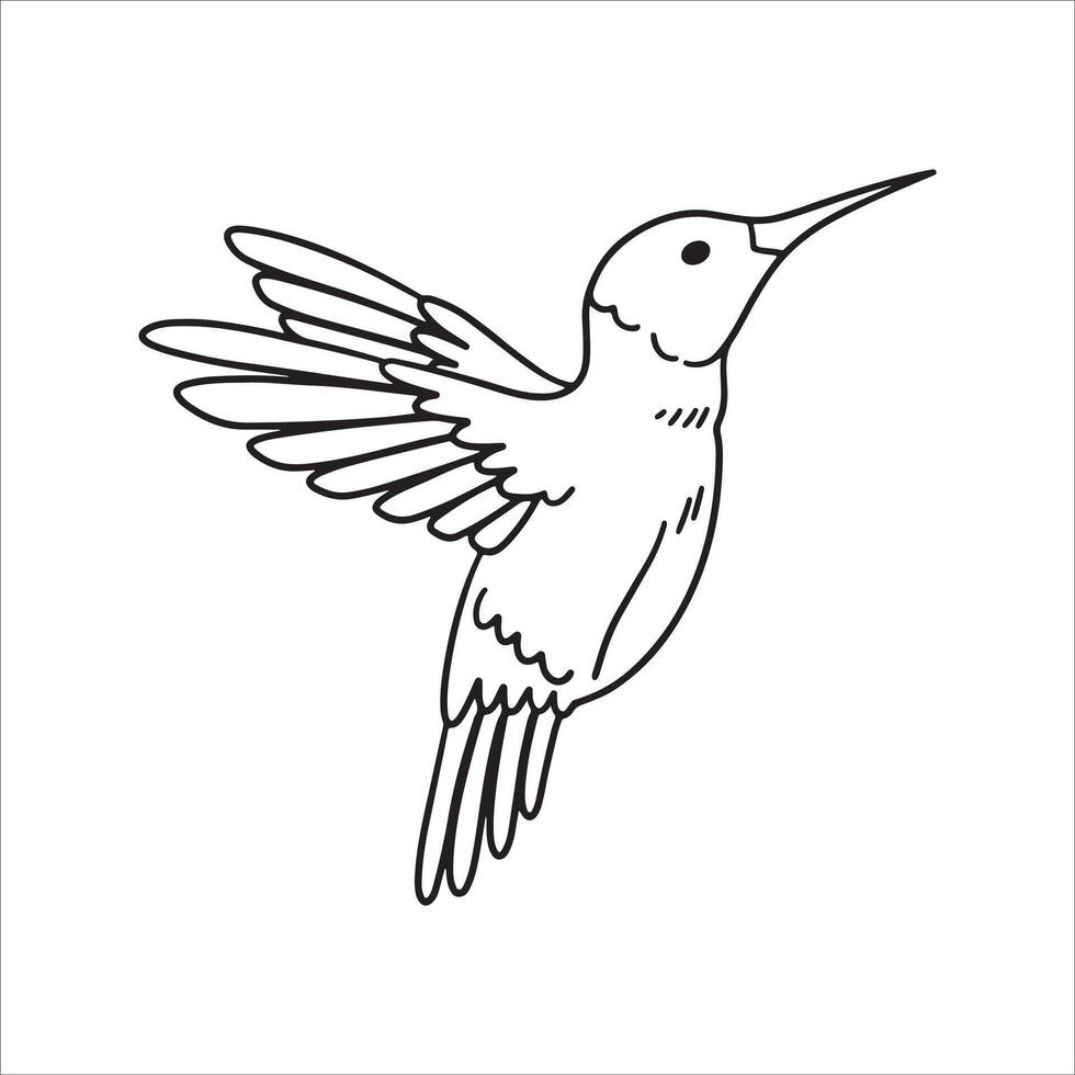 hummingbirds coloring pages 37206270 Vector Art at Vecteezy