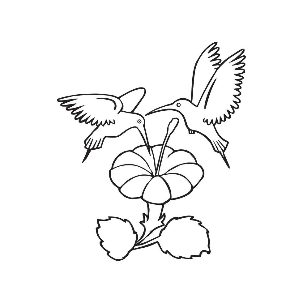 hummingbirds coloring pages vector