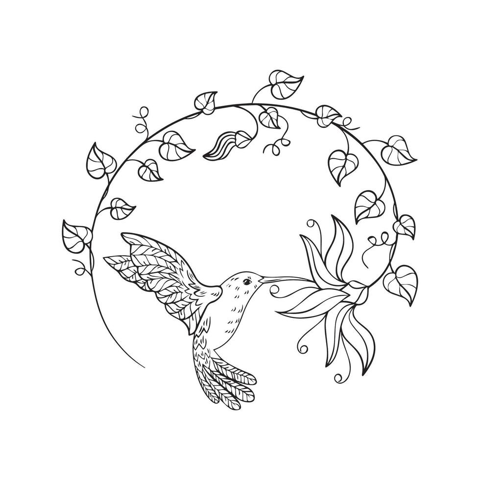 hummingbirds coloring pages vector