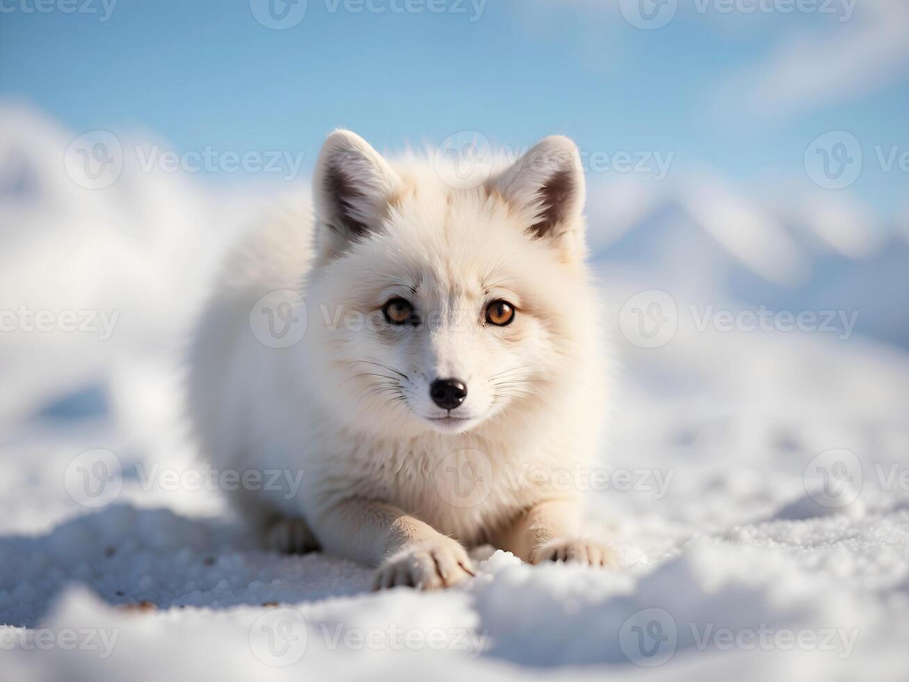 ai generado retrato de linda pequeño bebé blanco ártico zorro en el nieve, animal fondo, fondo de pantalla foto