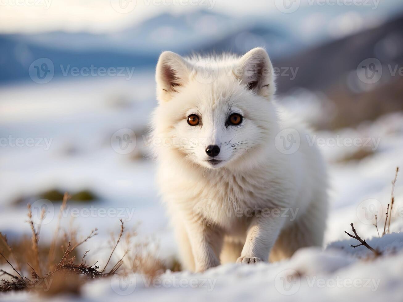 ai generado retrato de linda pequeño bebé blanco ártico zorro en el nieve, animal fondo, fondo de pantalla foto