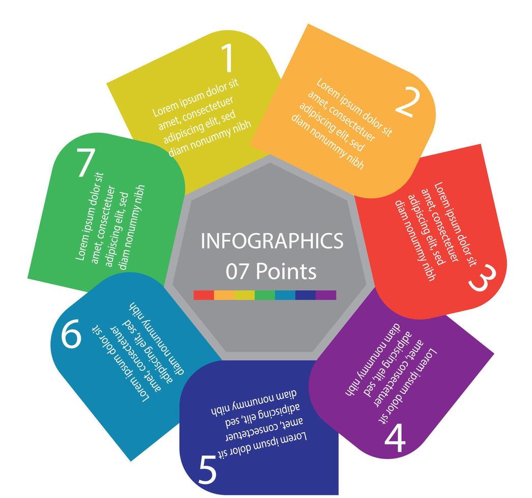 07 options and 7 point circular infographic vector