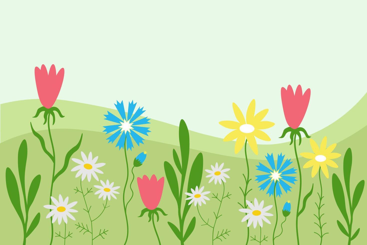 Floral background card hand drawn cartoon banner landscape field with blooming wildflowers, daisies, cornflowers, plants, grass flat vector illustration green motif. Template floret design backdrop