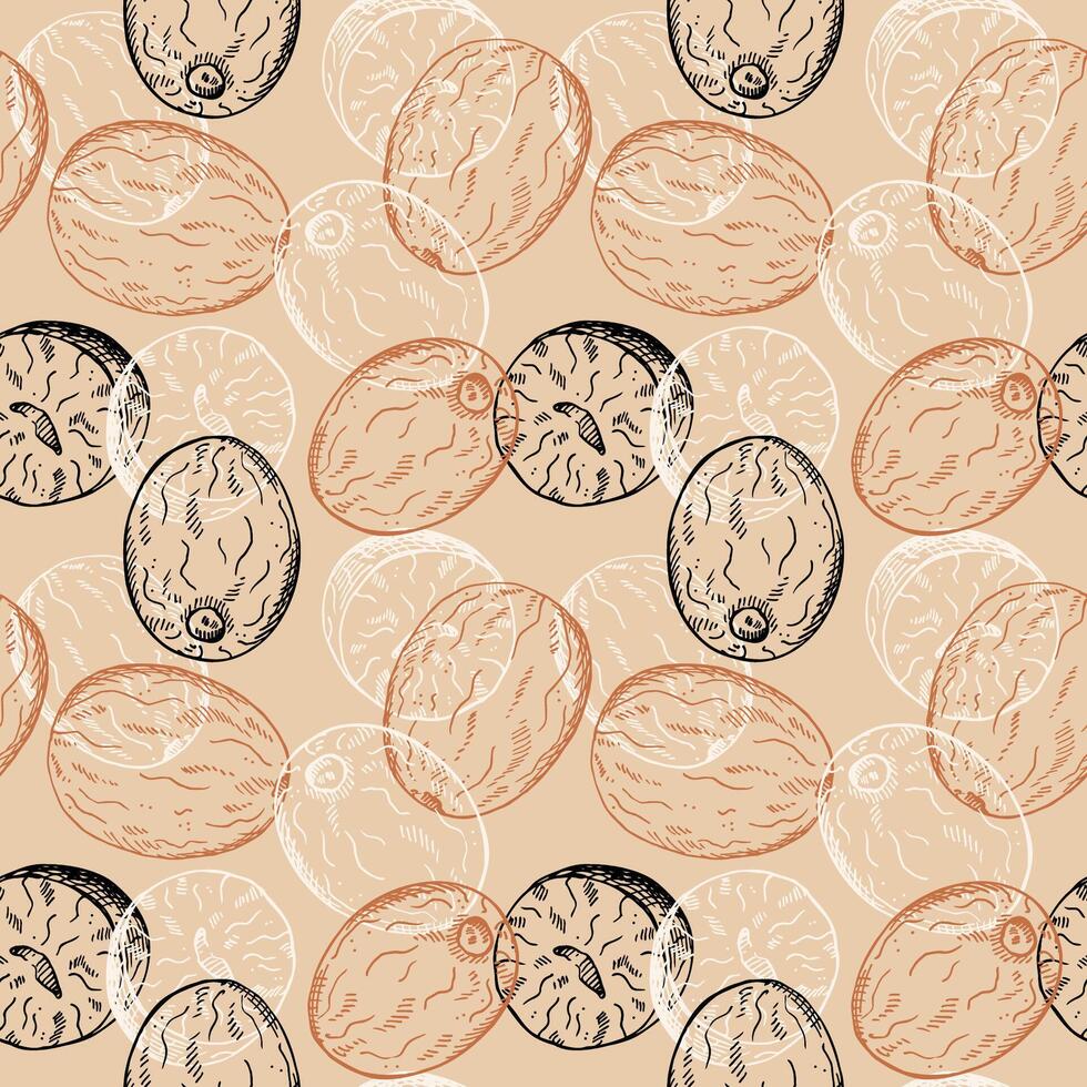 Nutmeg sketch seamless pattern engraved hand drawn vector illustration repeating background with nuts. Backdrop Mace plant, spicy nut design rapport for cooking, medicine, perfumery for textile, print