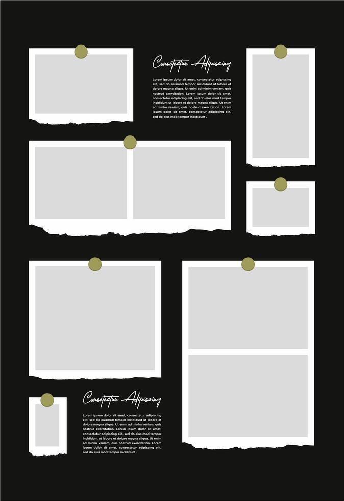 Pictures or photos frame collage. comics page grid layout abstract photo frames and digital photo wall template vector