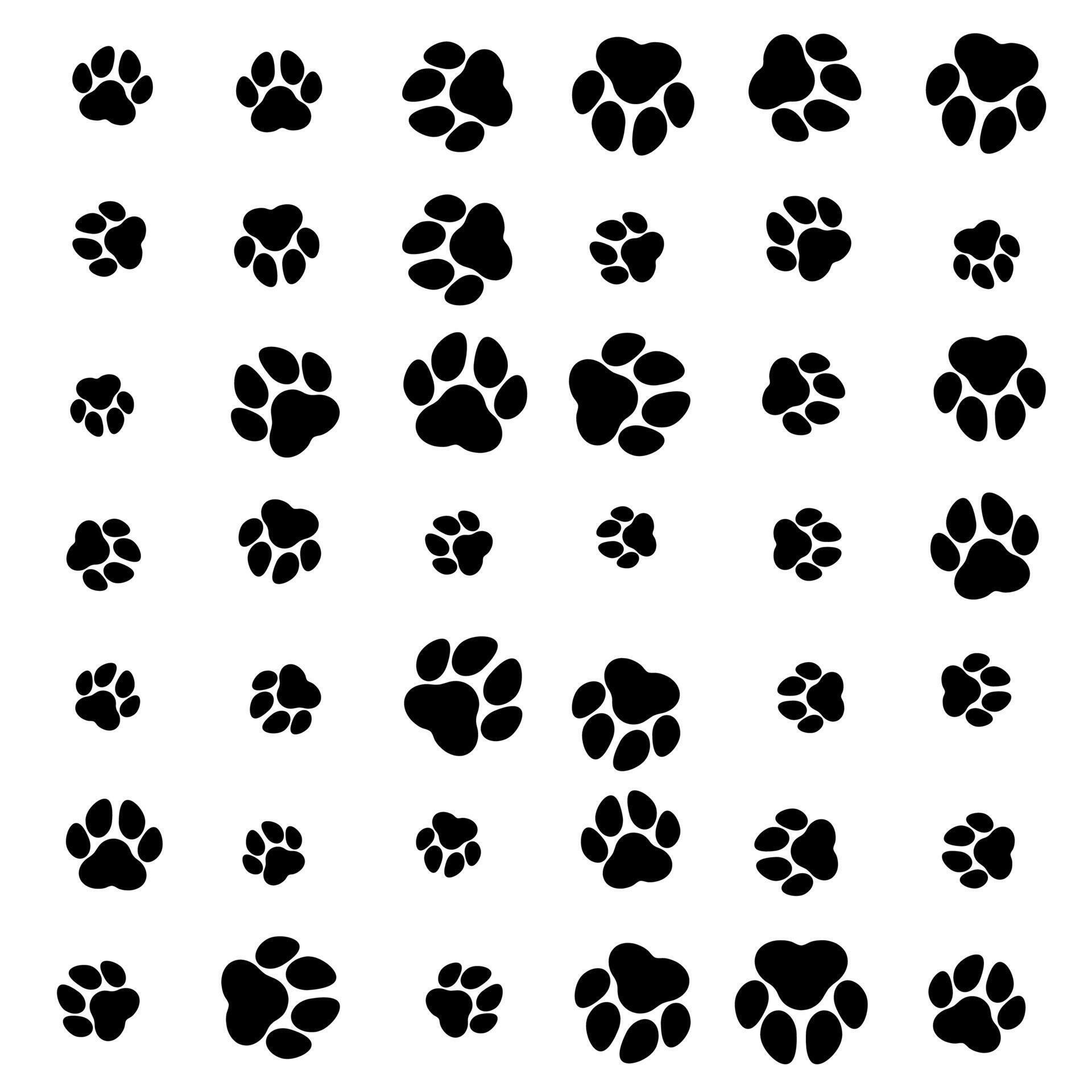 ramdon paw pattern sizes on white background 37207396 Vector Art at