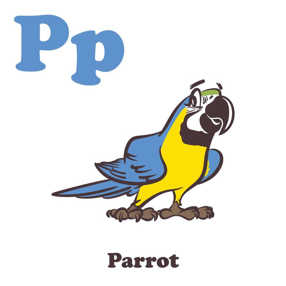 Parrots Alphabet Cartoon Character For Kids vector