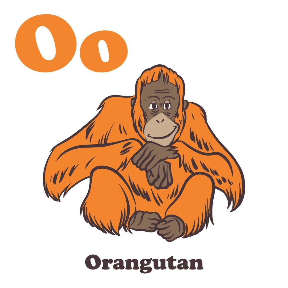 orangután alfabeto dibujos animados personaje para niños vector