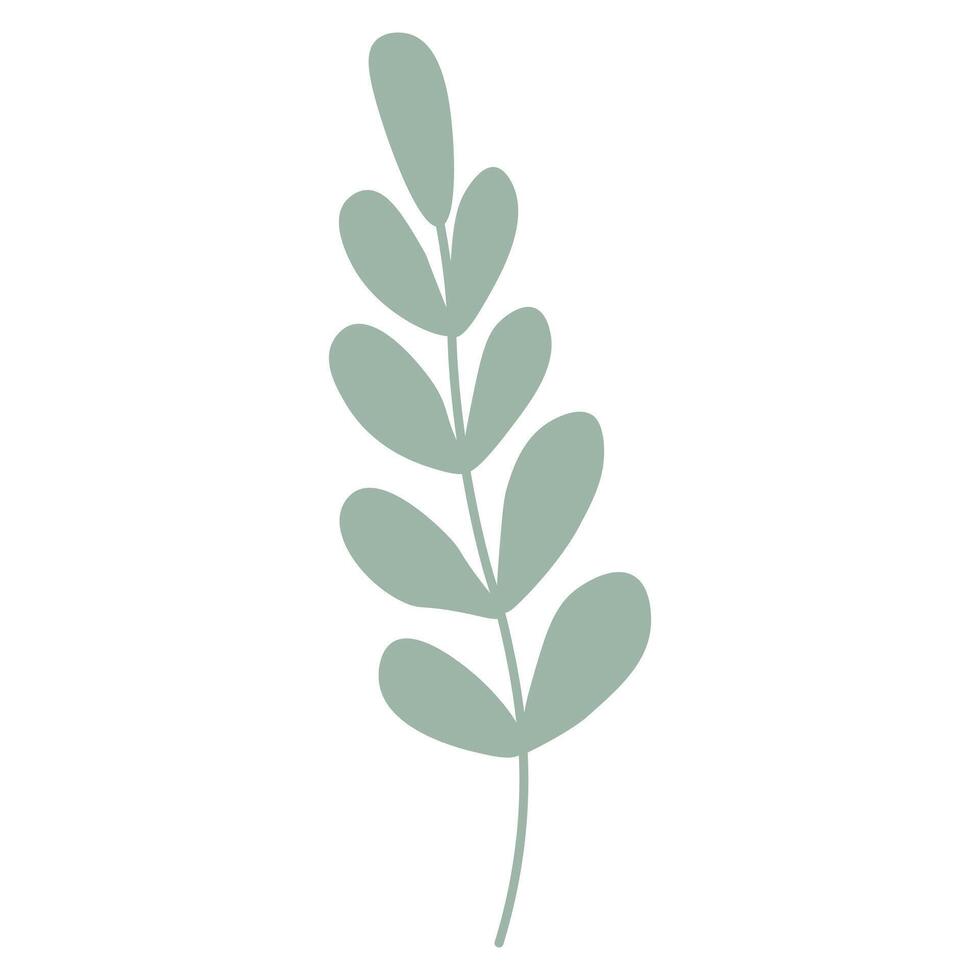 Green decorative leaf plant. Flat vector doodle illustration.