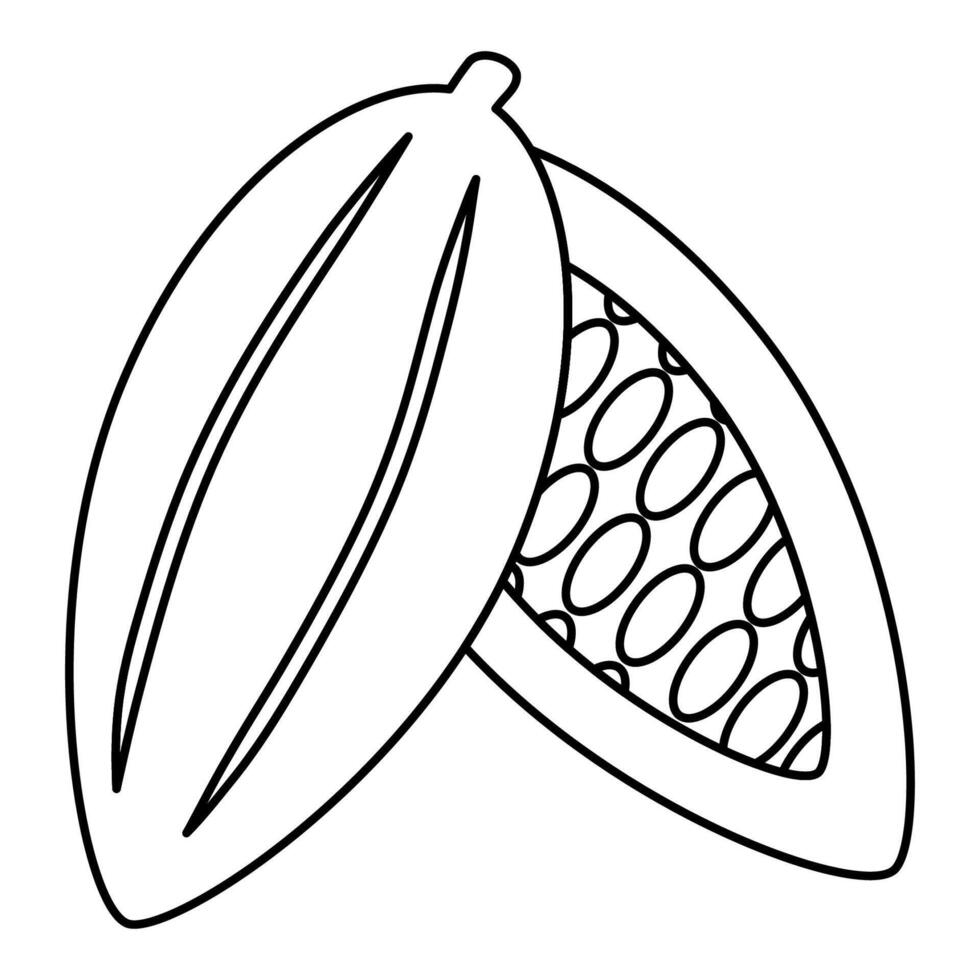 cocoa bean plant fruit chocolate day element vector