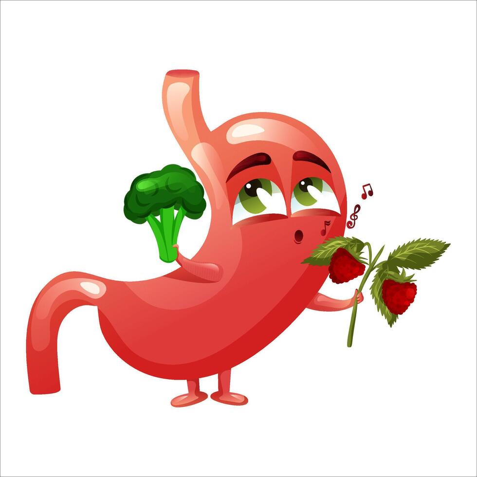 Cute cartoon stomach character. Concept choosing healthy food. Internal organ human. Vector illustration.