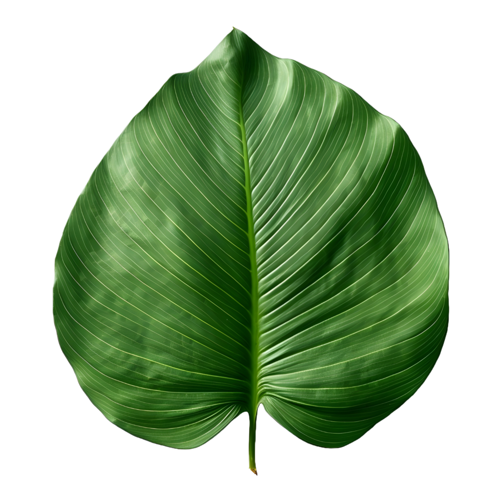 AI generated Green Leaf on Transparent background - Ai Generated png