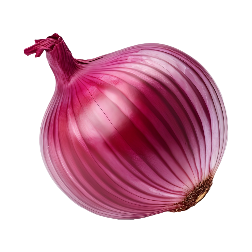 AI generated Onions on Transparent background - Ai Generated png