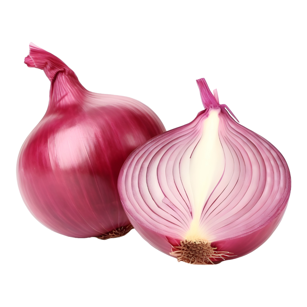 AI generated Onions on Transparent background - Ai Generated png