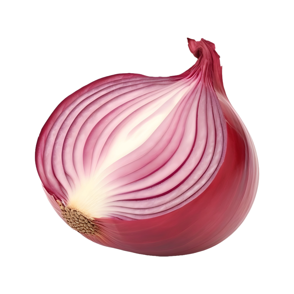 AI generated Onions on Transparent background - Ai Generated png