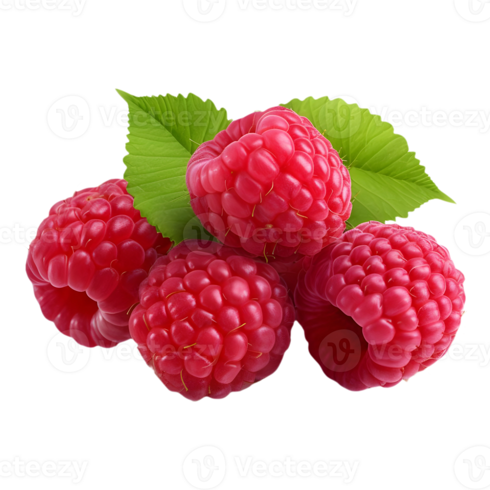 ai generato lampone su trasparente sfondo - ai generato png