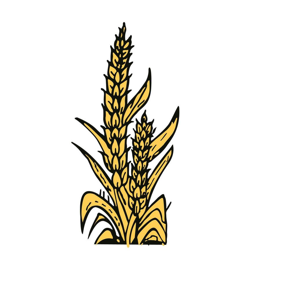 wheat with plant clip art vector