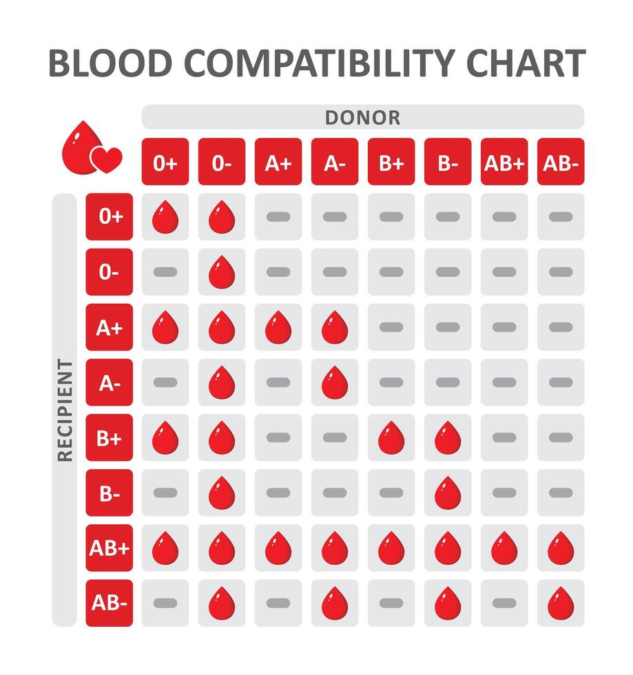 sangre grupo compatibilidad mesa vector