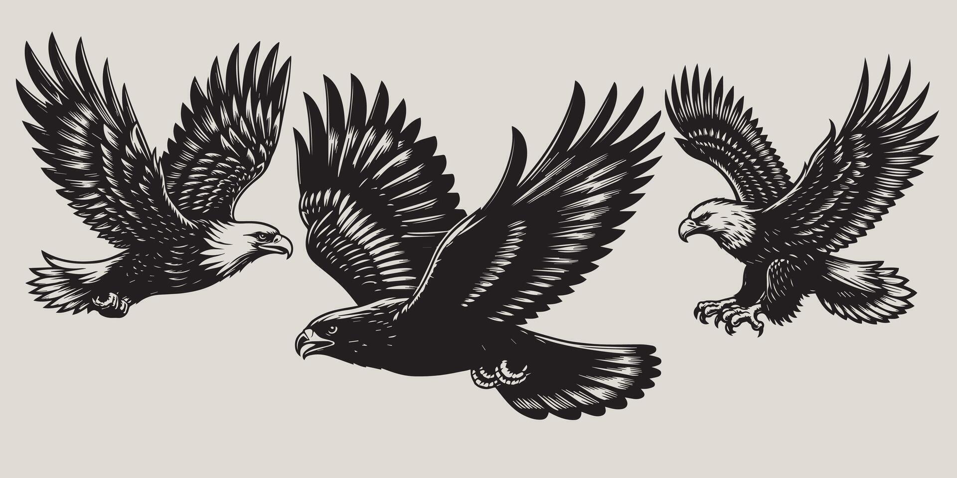 vector black and white eagle silhouette set on white background