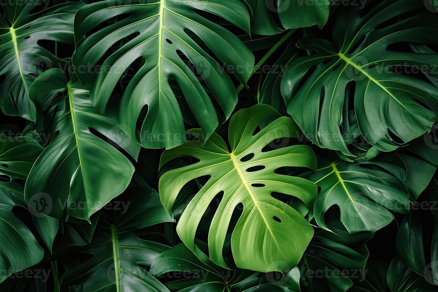 AI generated Green tropical monstera leaves. Background of various green tropical leaves. photo