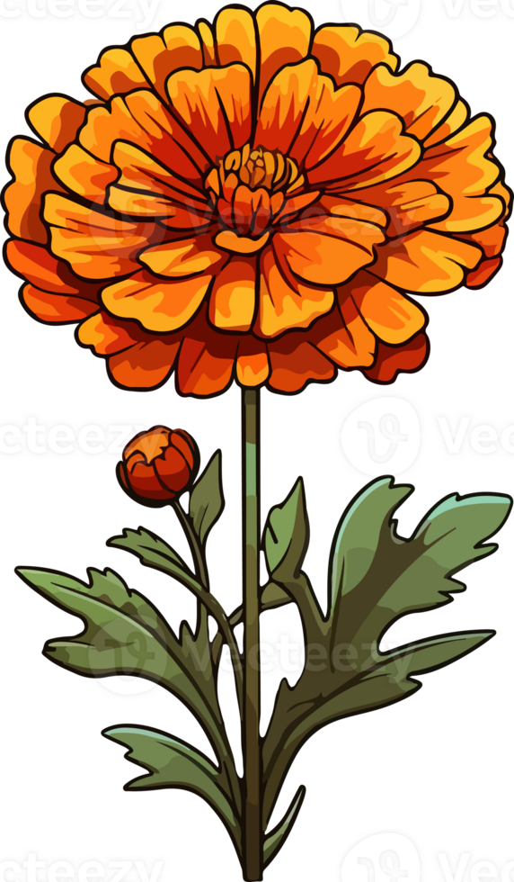 AI generated Cute marigold in cartoon style png
