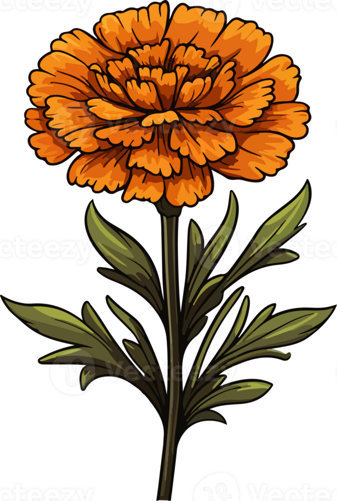 AI generated Cute marigold in cartoon style png