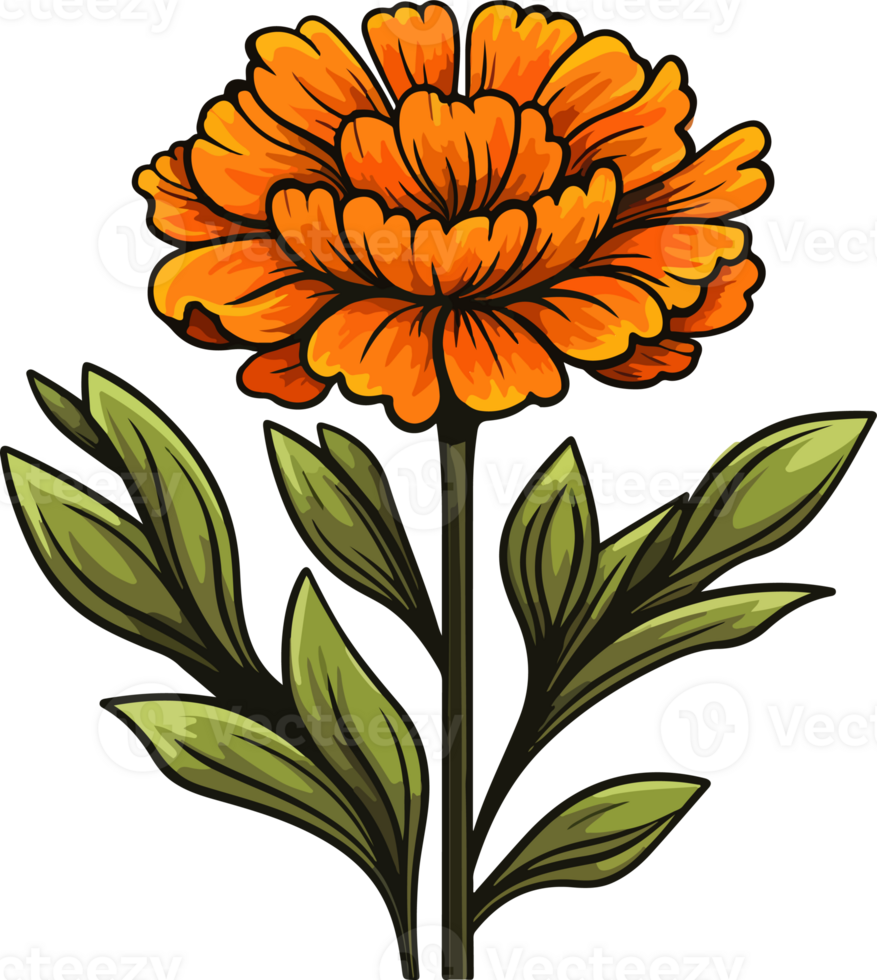 AI generated Cute marigold in cartoon style png