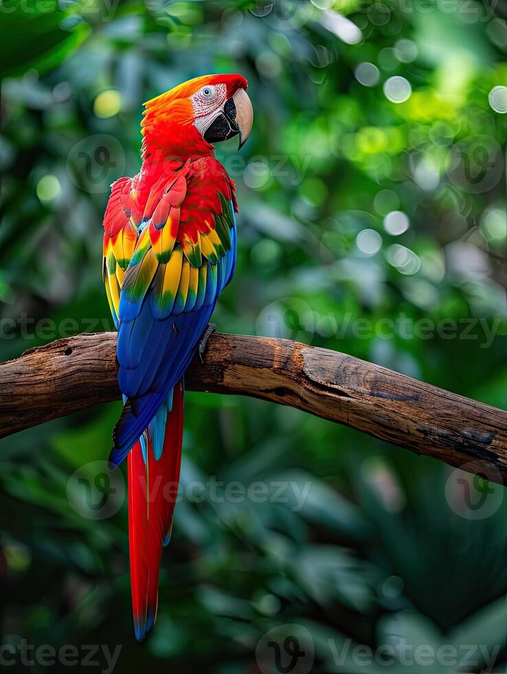 AI generated Colorful scarlet macaw parrot in jungle. photo