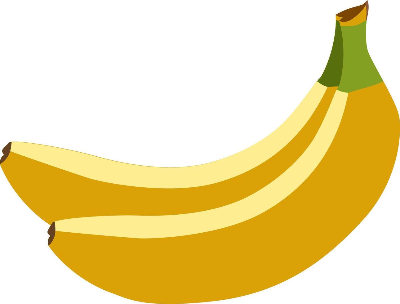Banana Beauty - A visually appealing portrayal of the aesthetic charm found in the simplicity of a banana, suitable for various design applications. Banana vector illustration.