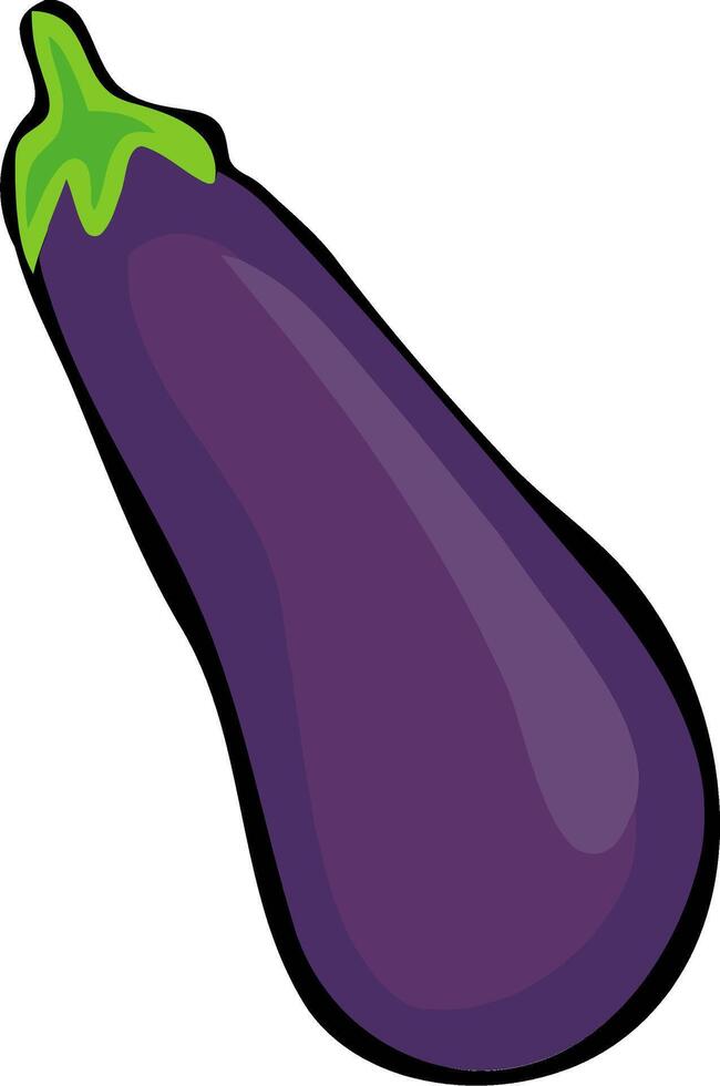 Illustration of a purple eggplant isolated on a white background. vector