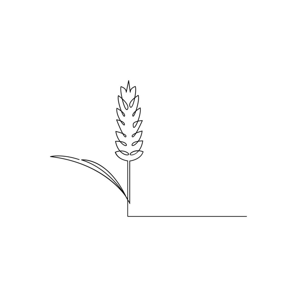 vector continuo línea Arte dibujo de orgánico sano comida trigo grano para granja logo identidad