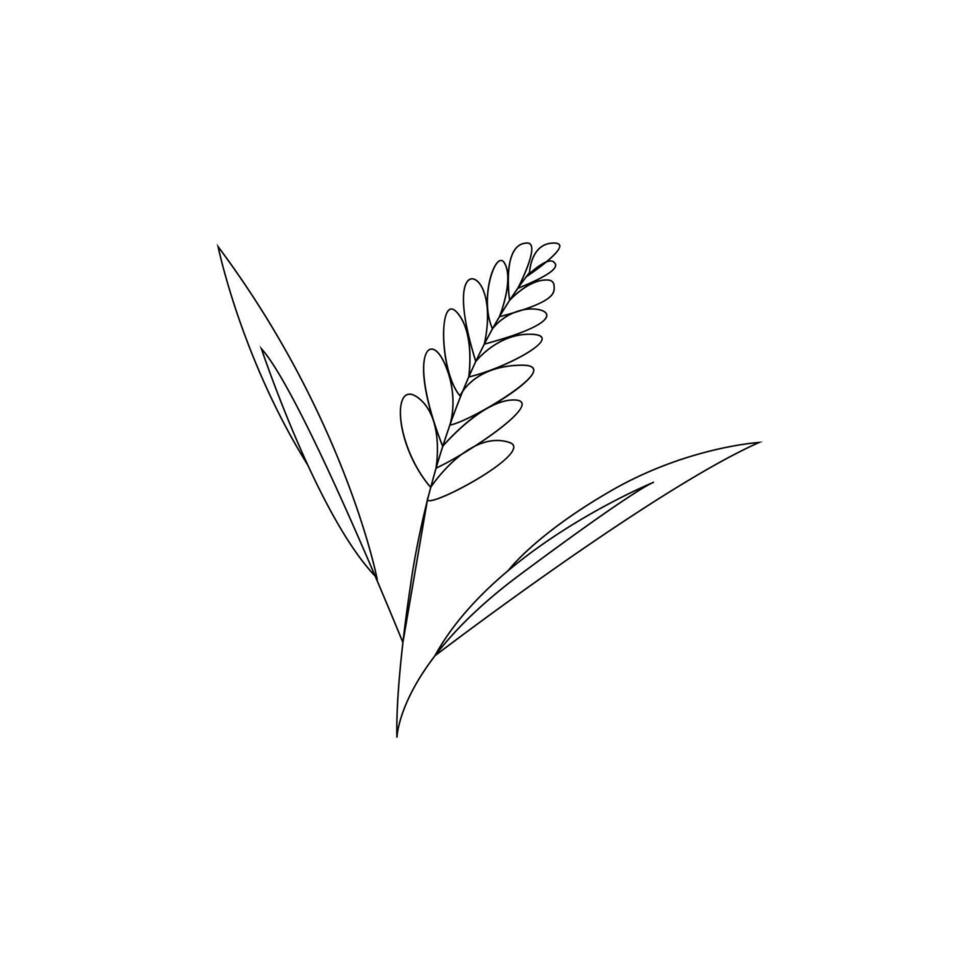 vector continuo línea Arte dibujo de orgánico sano comida trigo grano para granja logo identidad