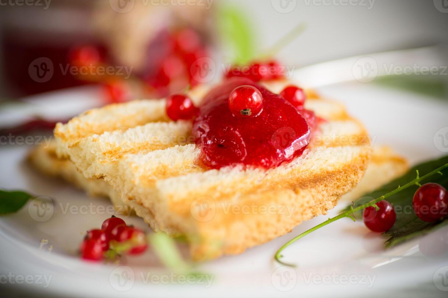 fried bread croutons for breakfast with redcurrant jam in a plate with berries photo